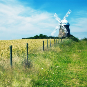 《吃老师的奶头》
