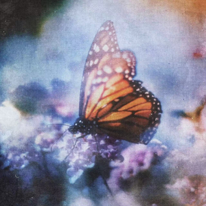 《吃老师的奶头》
